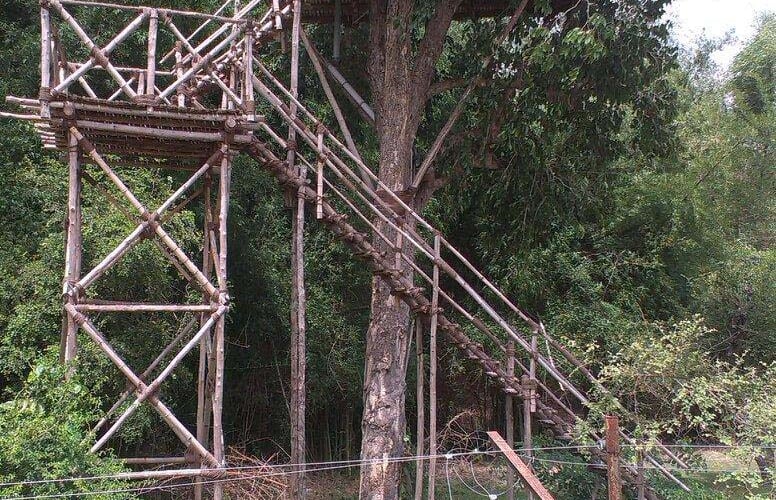 Secret Ivory Farm & Guest House, Masinagudi 3